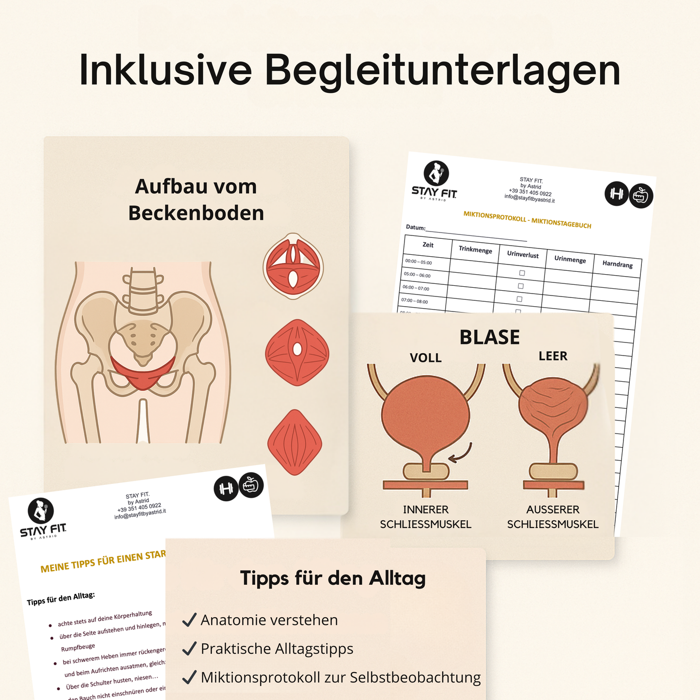 Power für den Beckenboden - Basiskurs